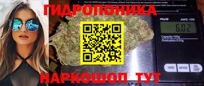 спайс Кинель