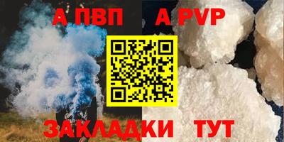 jwh Кингисепп