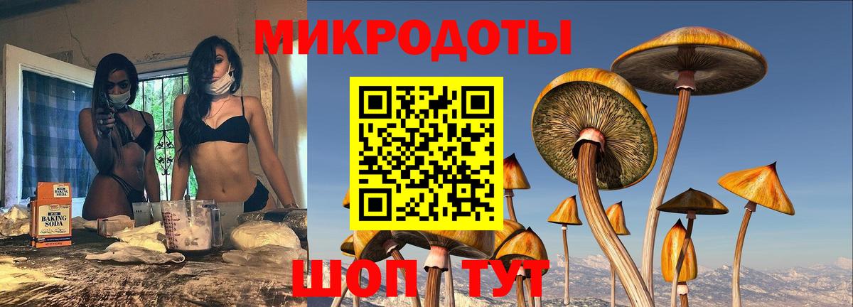 закладка  Галлюциногенные грибы Magic Shrooms  Кушва  Вход с VPN  Псилоцибиновые грибы мицелий 